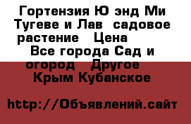 Гортензия Ю энд Ми Тугеве и Лав, садовое растение › Цена ­ 550 - Все города Сад и огород » Другое   . Крым,Кубанское